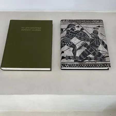 Villa Saliagos Complex With Private Pools *