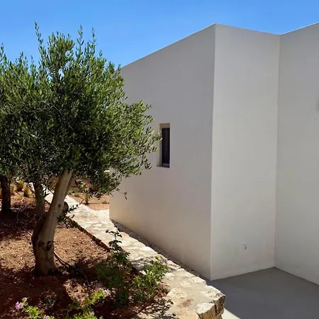 Villa Saliagos Complex With Private Pools Andiparos