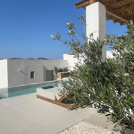 Saliagos Complex With Private Pools Villa
