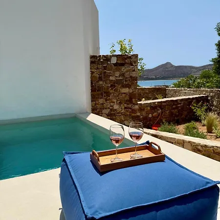Saliagos Complex With Private Pools Villa *