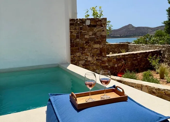 Saliagos Complex With Private Pools Villa *